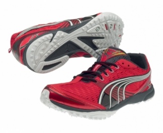 PUMA Complete Haraka XCS Unisex Track & Field Shoes
