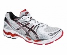 ASICS Gel-Kayano 17 Men's Running Shoes
